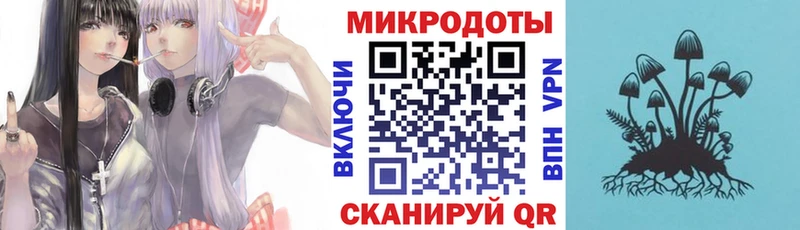 Галлюциногенные грибы Psilocybine cubensis Аша