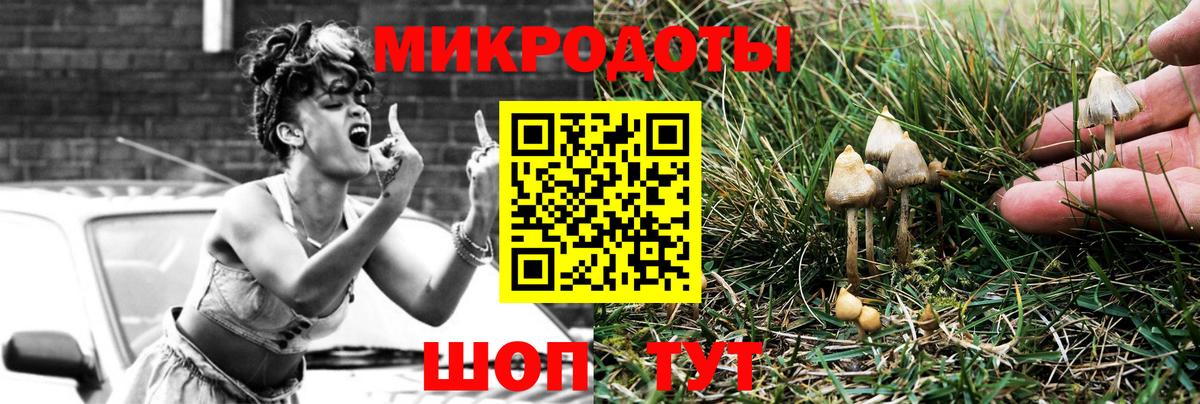 Галлюциногенные грибы Psilocybe  Вход с VPN  Аша 