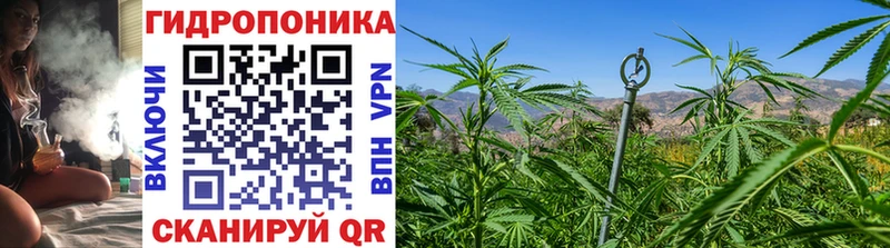 Канабис тримм Аша